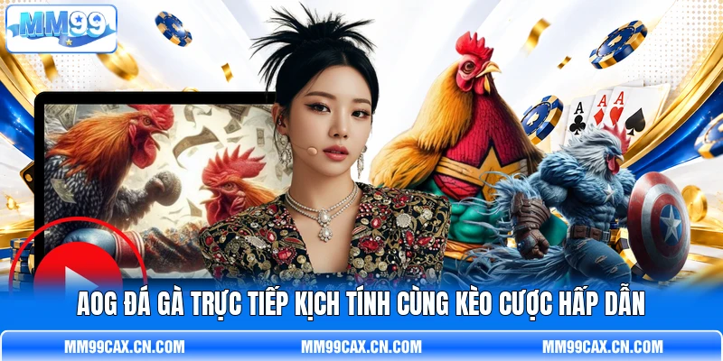 AOG Đá Gà Trực Tiếp Kịch Tính Cùng Kèo Cược Hấp Dẫn