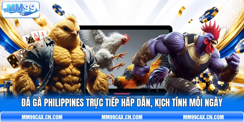 Đá Gà Philippines Trực Tiếp Hấp Dẫn, Kịch Tính Mỗi Ngày