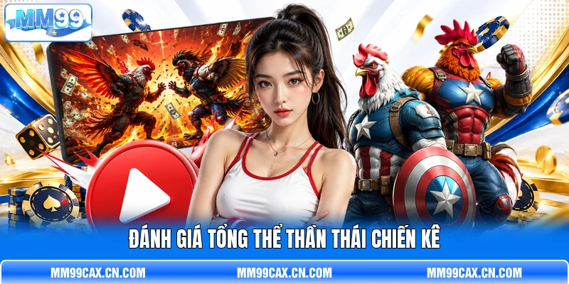 Đánh giá tổng thể thần thái chiến kê Đánh giá tổng thể thần thái chiến kê