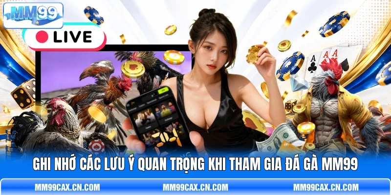 Ghi nhớ các lưu ý quan trọng khi tham gia đá gà MM99