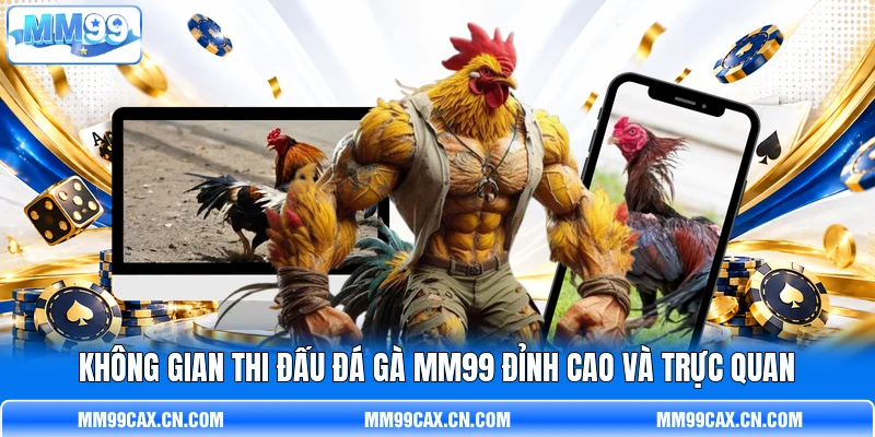 Không gian thi đấu đá gà MM99 đỉnh cao và trực quan