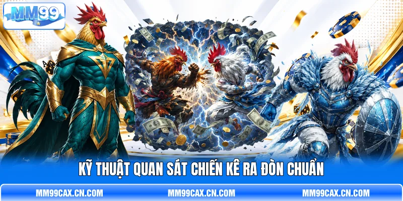 Kỹ thuật quan sát chiến kê ra đòn chuẩn