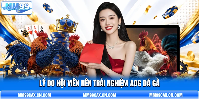 Lý do hội viên nên trải nghiệm AOG đá gà