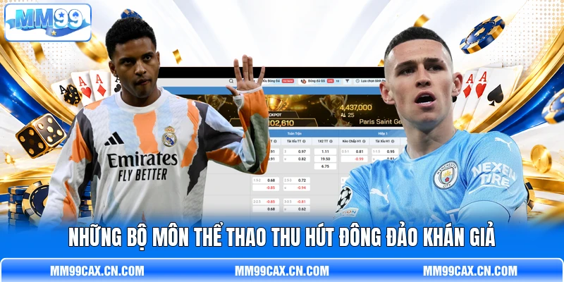 Những bộ môn thể thao thu hút đông đảo khán giả