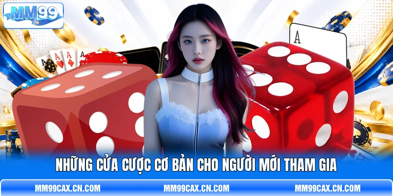 Những cửa cược cơ bản cho người mới tham gia Những cửa cược cơ bản cho người mới tham gia