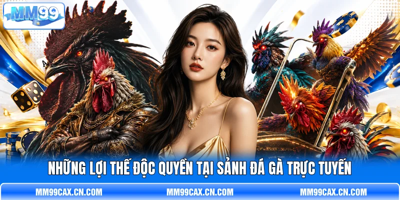 Những lợi thế độc quyền tại sảnh đá gà trực tuyến