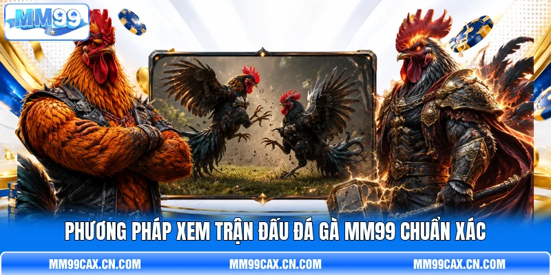 Phương pháp xem trận đấu đá gà MM99 chuẩn xác